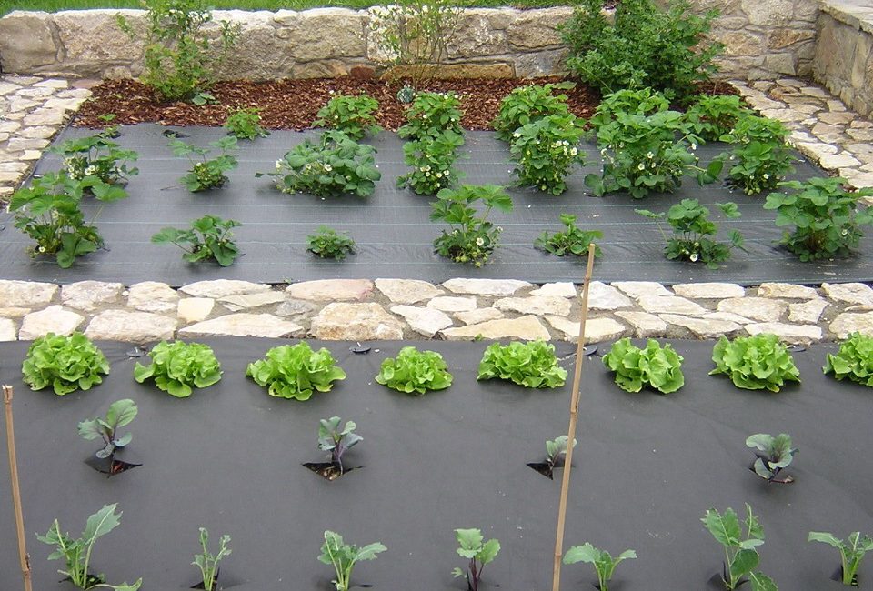 Apply Landscape Fabrics, How To Use Ground Cover Fabric