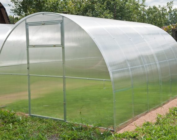 Common Greenhouse Problems