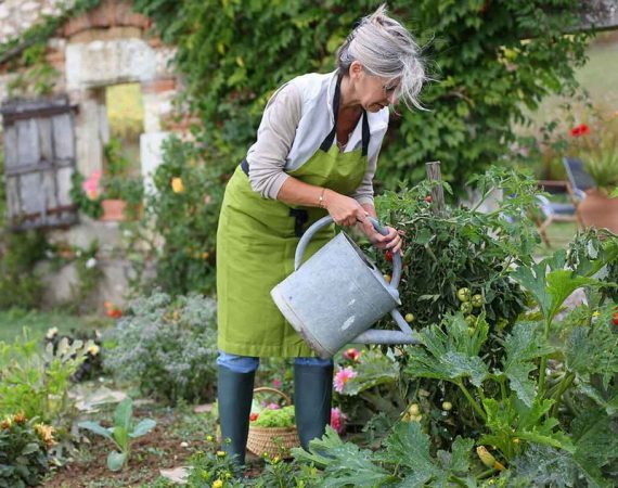 Main Health Benefits You Get from Gardening