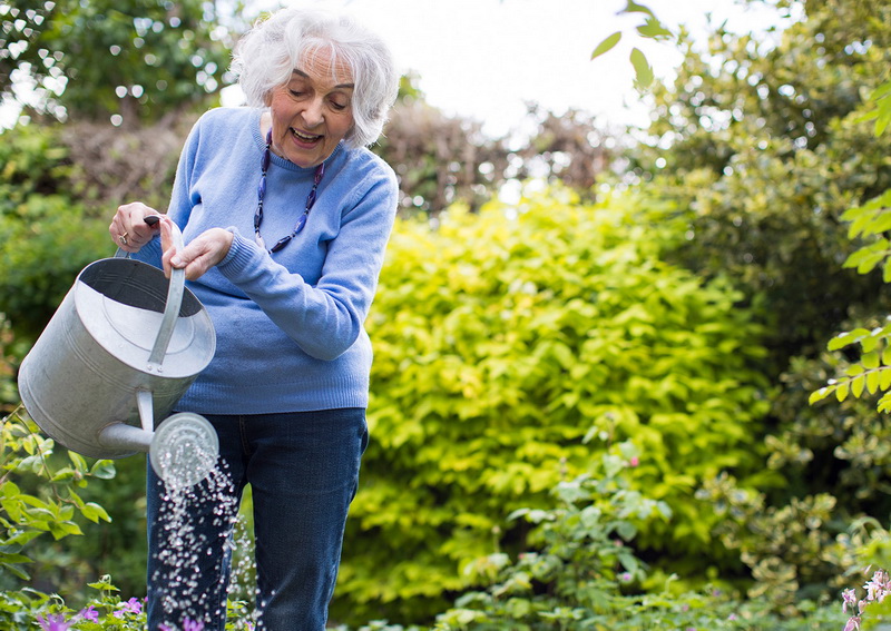 Gardening for Oldies